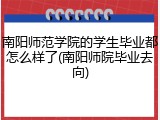 南阳师范学院的学生毕业都怎么样了(南阳师院毕业去向)