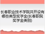 长春职业技术学院共开设有哪些类型奖学金(长春职院奖学金类别)