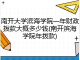 南开大学滨海学院一年财政拨款大概多少钱(南开滨海学院年拨款)