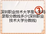深圳职业技术大学是一本吗录取分数线多少(深圳职业技术大学分数线)
