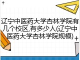 辽宁中医药大学杏林学院有几个校区,有多少人(辽宁中医药大学杏林学院规模)