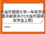 大连外国语大学一年奖学金最多能拿多少(大连外国语奖学金上限)