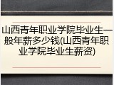 山西青年职业学院毕业生一般年薪多少钱(山西青年职业学院毕业生薪资)