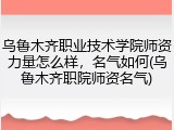 乌鲁木齐职业技术学院师资力量怎么样，名气如何(乌鲁木齐职院师资名气)