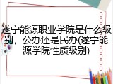 遂宁能源职业学院是什么级别，公办还是民办(遂宁能源学院性质级别)
