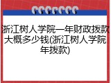 浙江树人学院一年财政拨款大概多少钱(浙江树人学院年拨款)