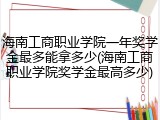 海南工商职业学院一年奖学金最多能拿多少(海南工商职业学院奖学金最高多少)