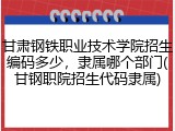 甘肃钢铁职业技术学院招生编码多少，隶属哪个部门(甘钢职院招生代码隶属)