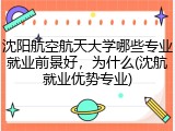 沈阳航空航天大学哪些专业就业前景好，为什么(沈航就业优势专业)
