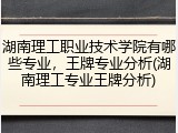 湖南理工职业技术学院有哪些专业，王牌专业分析(湖南理工专业王牌分析)