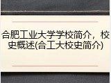 合肥工业大学学校简介，校史概述(合工大校史简介)
