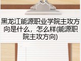 黑龙江能源职业学院主攻方向是什么，怎么样(能源职院主攻方向)