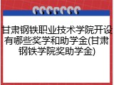 甘肃钢铁职业技术学院开设有哪些奖学和助学金(甘肃钢铁学院奖助学金)