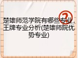 楚雄师范学院有哪些专业，王牌专业分析(楚雄师院优势专业)