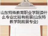 山东特殊教育职业学院读什么专业比较有前景(山东特教学院前景专业)