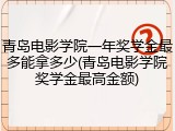 青岛电影学院一年奖学金最多能拿多少(青岛电影学院奖学金最高金额)