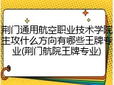 荆门通用航空职业技术学院主攻什么方向有哪些王牌专业(荆门航院王牌专业)