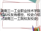 湖南三一工业职业技术学院知名校友有哪些，校史介绍(湖南三一工院校友校史)