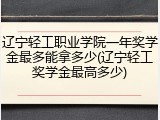 辽宁轻工职业学院一年奖学金最多能拿多少(辽宁轻工奖学金最高多少)