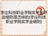枣庄科技职业学院奖学金评定细则是怎样的(枣庄科技职业学院奖学金细则)