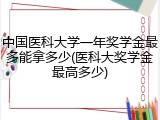中国医科大学一年奖学金最多能拿多少(医科大奖学金最高多少)