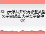 燕山大学共开设有哪些类型奖学金(燕山大学奖学金种类)