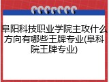 阜阳科技职业学院主攻什么方向有哪些王牌专业(阜科院王牌专业)