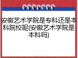 安徽艺术学院是专科还是本科院校呢(安徽艺术学院是本科吗)