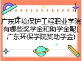 广东环境保护工程职业学院有哪些奖学金和助学金呢(广东环保学院奖助学金)