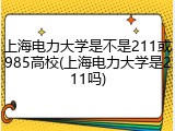 上海电力大学是不是211或985高校(上海电力大学是211吗)