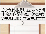 辽宁现代服务职业技术学院主攻方向是什么，怎么样(辽宁现代服务学院主攻方向)