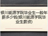 银川能源学院毕业生一般年薪多少钱(银川能源学院毕业生薪资)