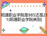 昭通职业学院是985还是211(昭通职业学院类别)
