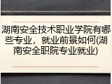 湖南安全技术职业学院有哪些专业，就业前景如何(湖南安全职院专业就业)