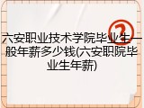 六安职业技术学院毕业生一般年薪多少钱(六安职院毕业生年薪)