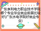 广东水利电力职业技术学院哪个专业毕业就业前景比较好(广东水电学院好就业专业)