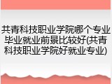 共青科技职业学院哪个专业毕业就业前景比较好(共青科技职业学院好就业专业)