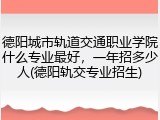 德阳城市轨道交通职业学院什么专业最好，一年招多少人(德阳轨交专业招生)