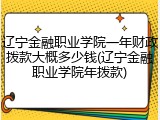 辽宁金融职业学院一年财政拨款大概多少钱(辽宁金融职业学院年拨款)