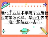 淮北职业技术学院毕业后就业前景怎么样，毕业生去向(淮北职院就业去向)