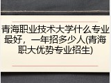 青海职业技术大学什么专业最好，一年招多少人(青海职大优势专业招生)