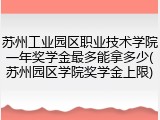 苏州工业园区职业技术学院一年奖学金最多能拿多少(苏州园区学院奖学金上限)