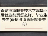 青岛港湾职业技术学院毕业后就业前景怎么样，毕业生去向(青岛港湾职院就业去向)