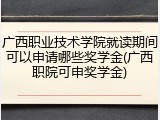 广西职业技术学院就读期间可以申请哪些奖学金(广西职院可申奖学金)