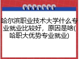 哈尔滨职业技术大学什么专业就业比较好，原因是啥(哈职大优势专业就业)