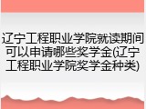 辽宁工程职业学院就读期间可以申请哪些奖学金(辽宁工程职业学院奖学金种类)