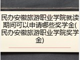 民办安徽旅游职业学院就读期间可以申请哪些奖学金(民办安徽旅游职业学院奖学金)