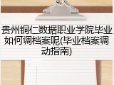 贵州铜仁数据职业学院毕业如何调档案呢(毕业档案调动指南)