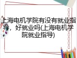 上海电机学院有没有就业指导，好就业吗(上海电机学院就业指导)