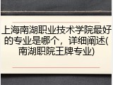 上海南湖职业技术学院最好的专业是哪个，详细阐述(南湖职院王牌专业)